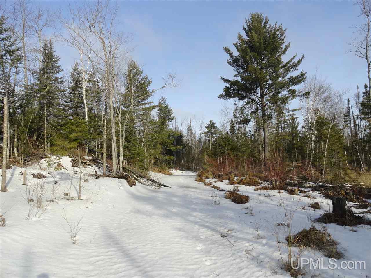 116-acres 116-acres Co Road Negaunee, MI 49866 - Photo 29 of 37