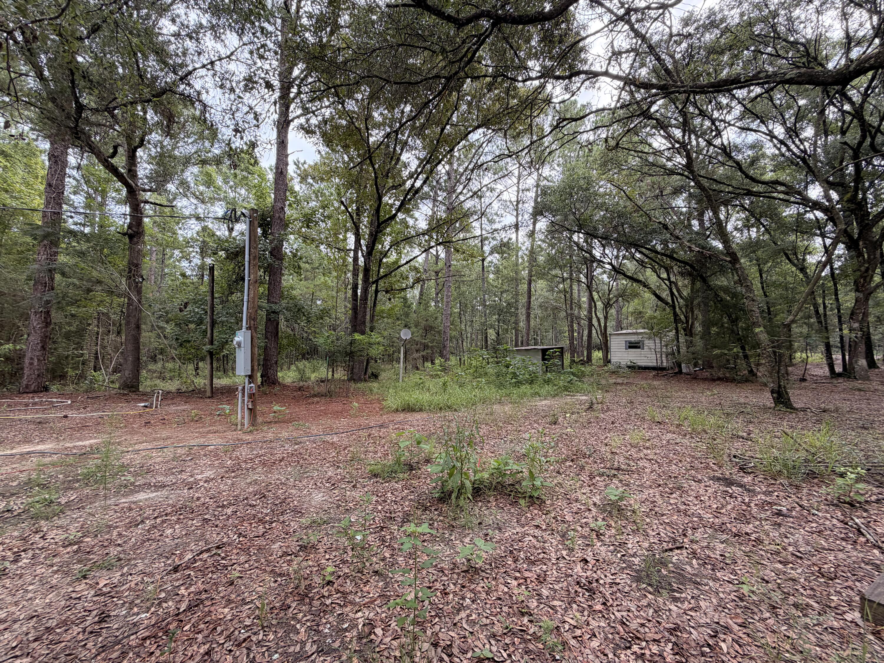5266 Choctaw Road Vernon, FL 32462 - Photo 18 of 31 IMG_2630