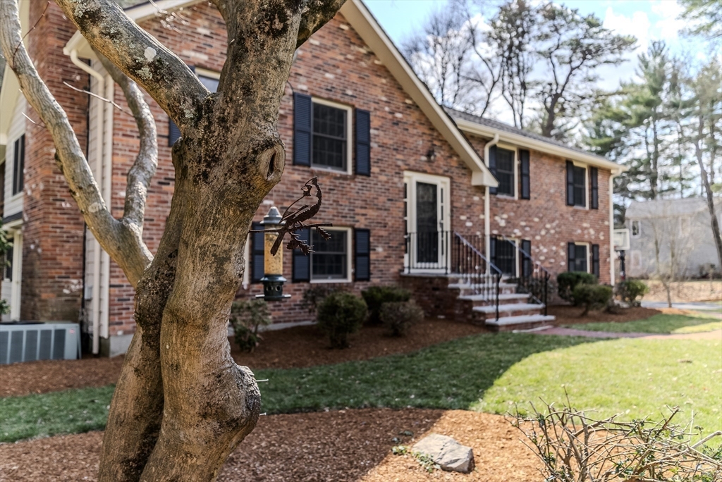 133 Tamarack Road Westwood, MA 02090 - Photo 39 of 42 Gallery Image 39