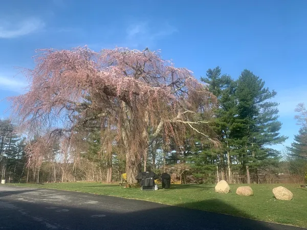 $575,000 | 57 Long Point Road, Unit 104, Lakeville, MA 02347