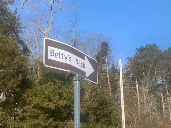 $575,000 | 57 Long Point Road, Unit 104, Lakeville, MA 02347