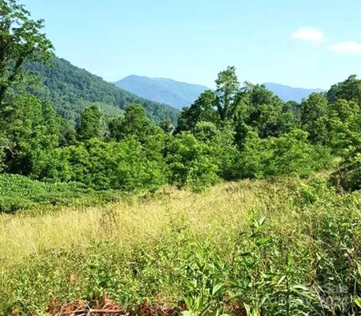 $38,000 | 0 Split Pine Cove, Clyde, NC 28721