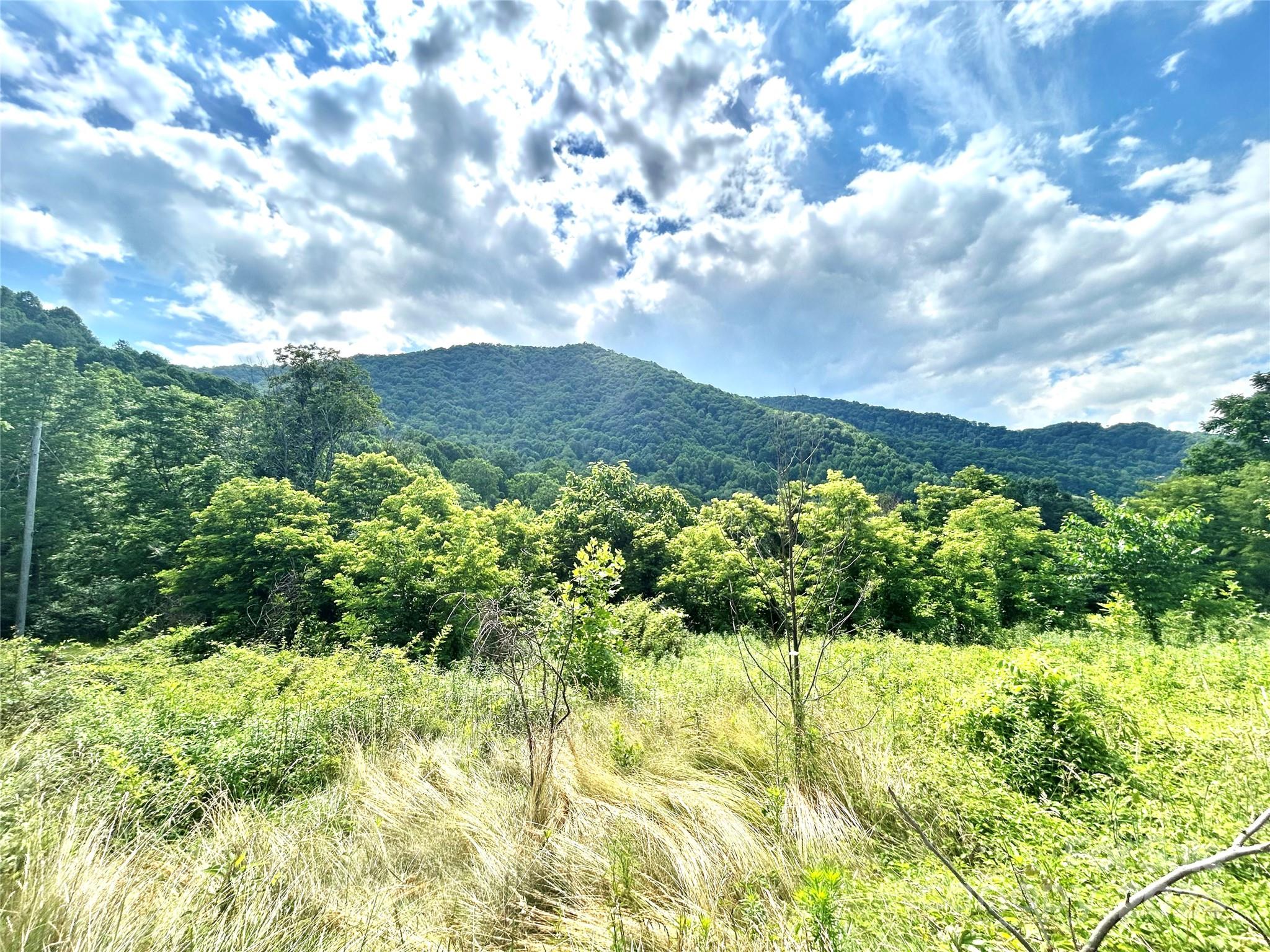 0 Split Pine Cove Clyde, NC 28721 - Photo 2 of 10