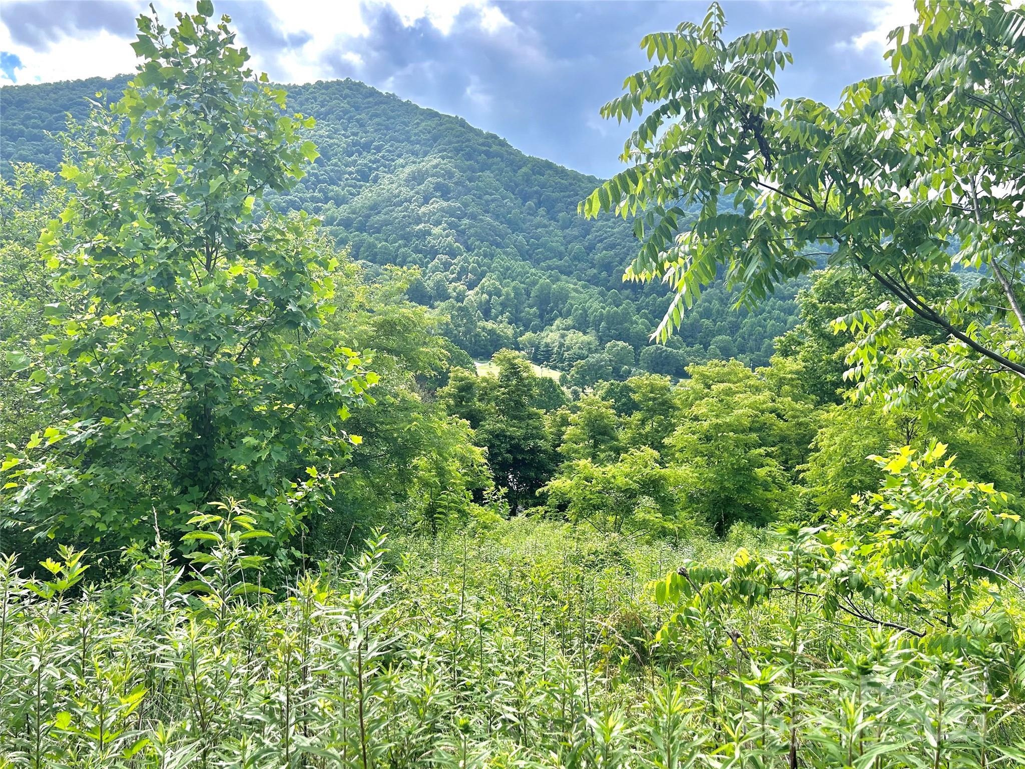 0 Split Pine Cove Clyde, NC 28721 - Photo 4 of 10