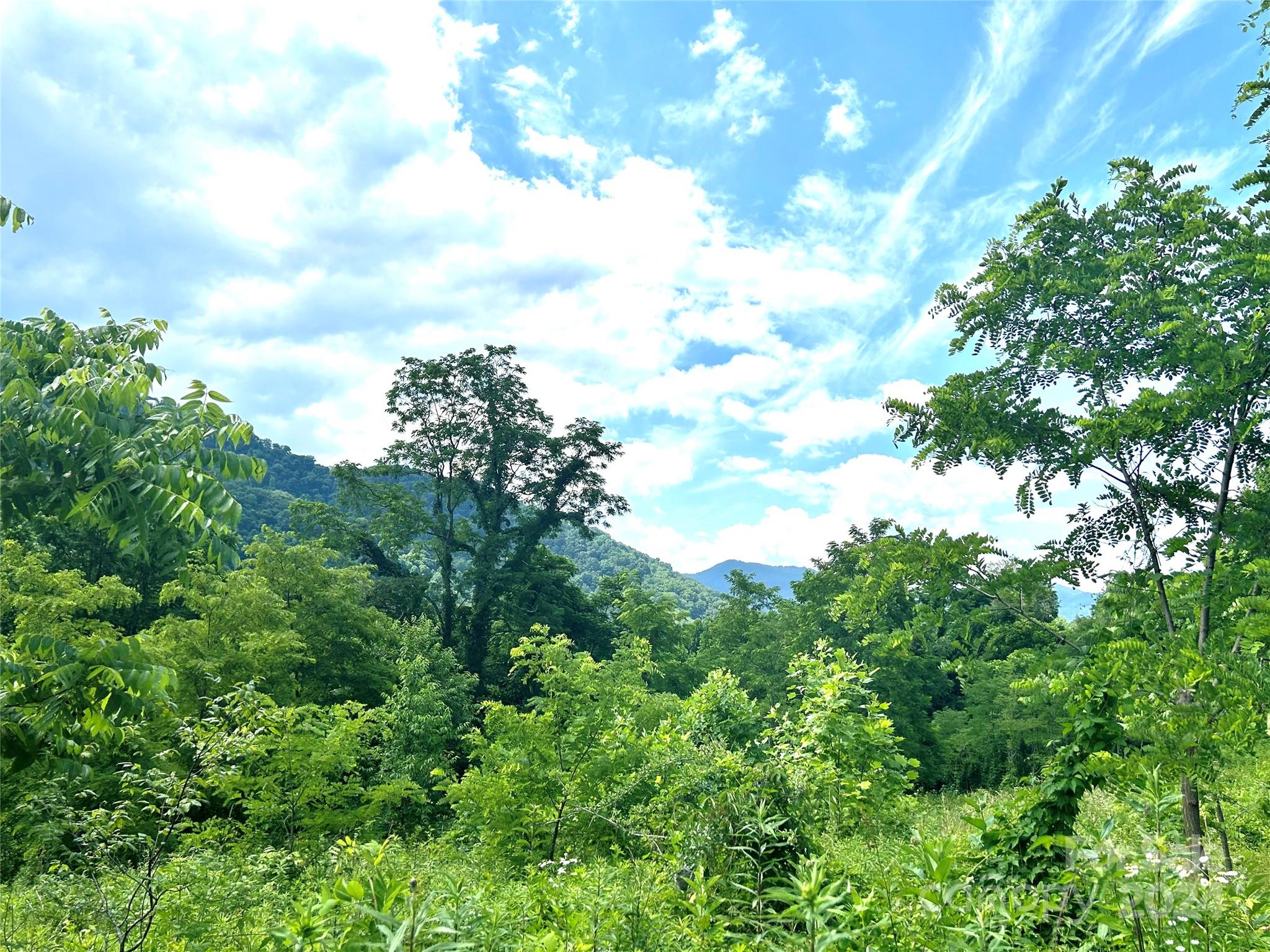 0 Split Pine Cove Clyde, NC 28721 - Photo 6 of 10