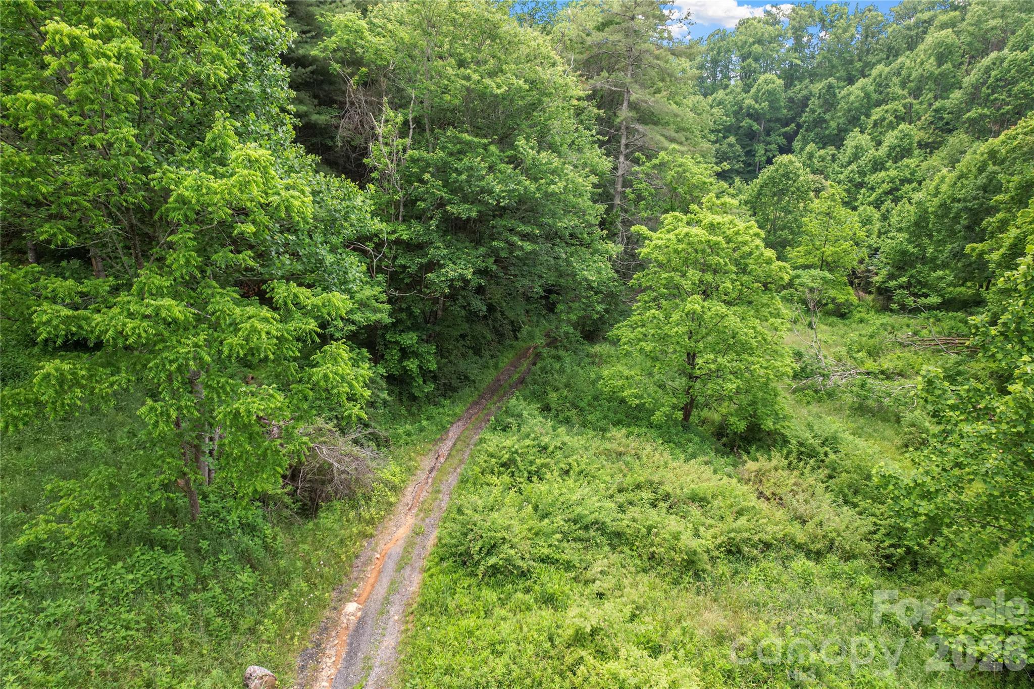 000 Bee Branch Road, Unit 14AC Bakersville, NC 28705 - Photo 12 of 19
