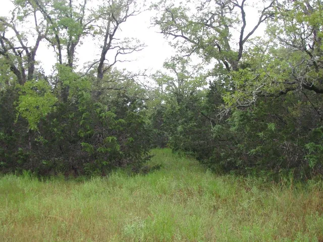 a view of a green yard