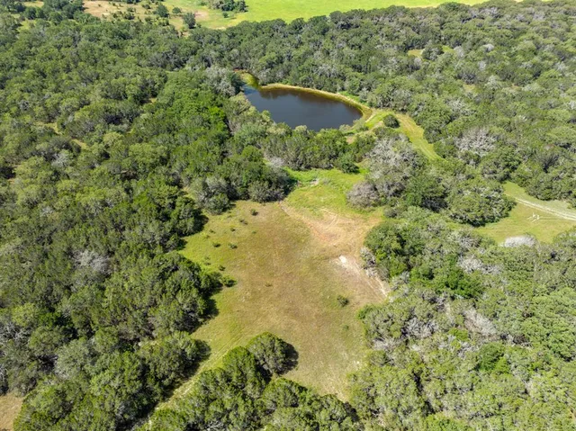 a view of a forest with a yard