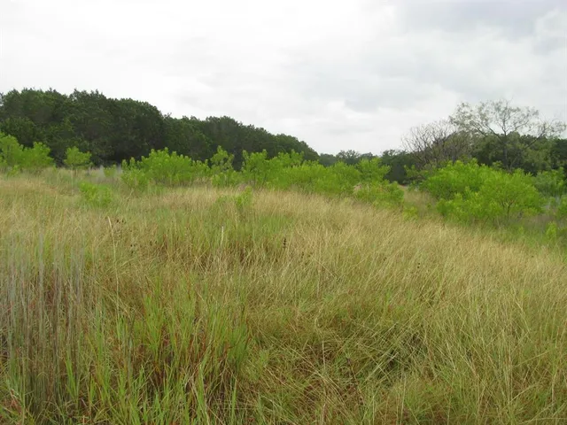 a view of lake with green space