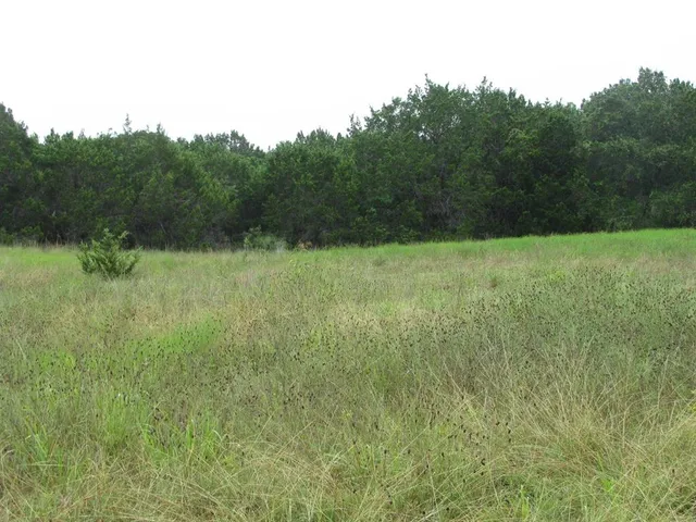 a view of a big yard with lots of bushes