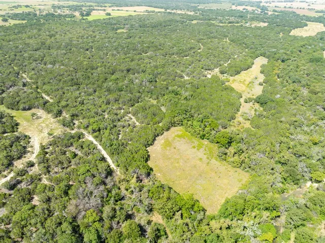 a view of a lush green space