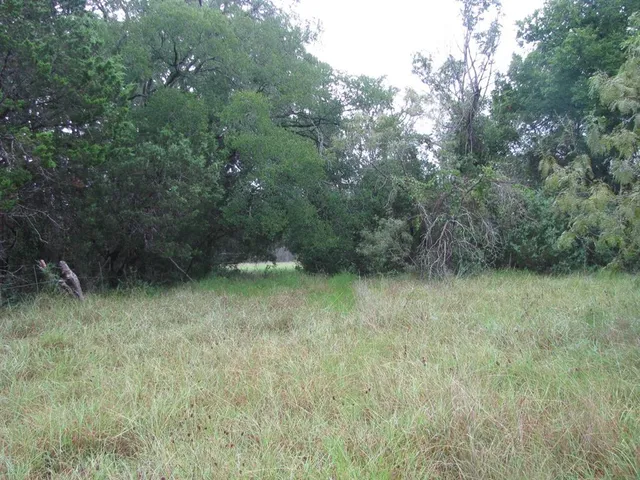 a view of green field with trees in the background