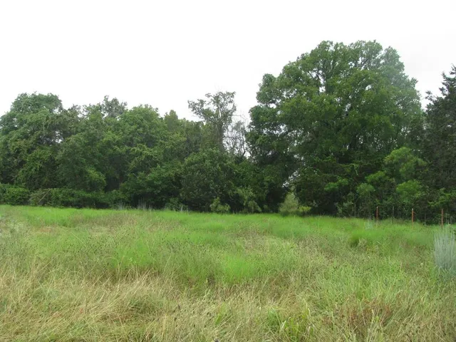 a view of an outdoor space and a yard