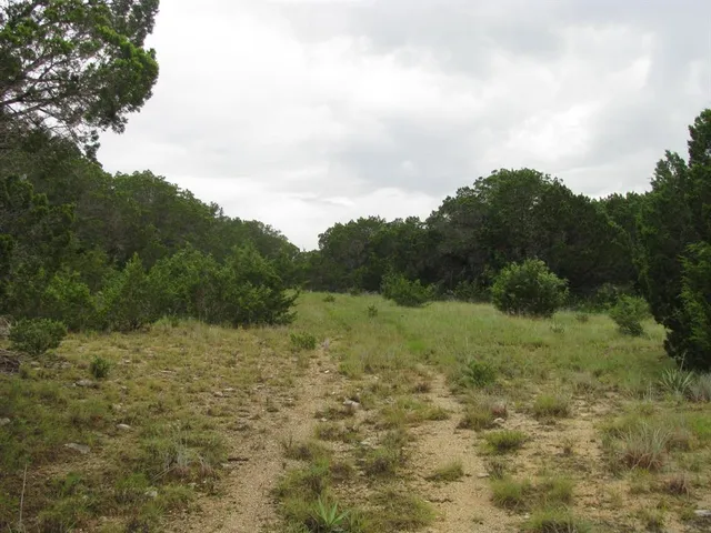 a view of a big yard with large trees