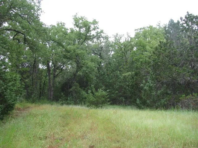 a view of a garden from a balcony