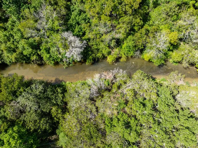 a view of a lake with a tree