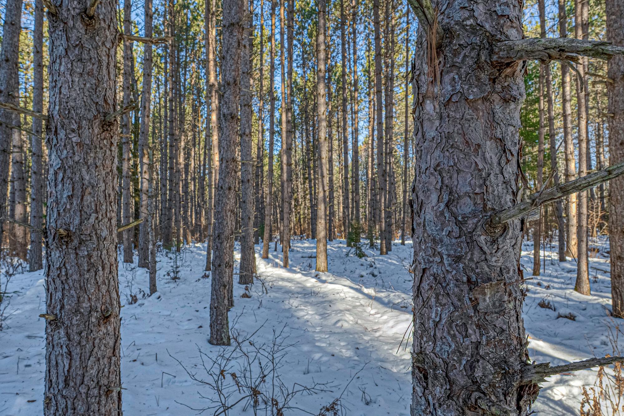Off Deerskin Road, Unit LOT 4 Eagle River, WI 54521 - Photo 18 of 23 Gallery Image 18