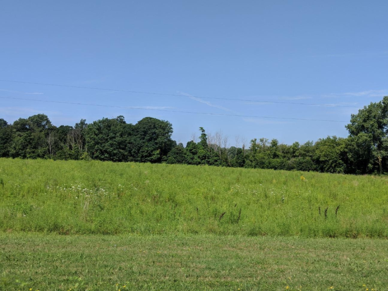 11520 Snow Road Bridgman, MI 49106 - Photo 1 of 2 IMG_20180801_110713
