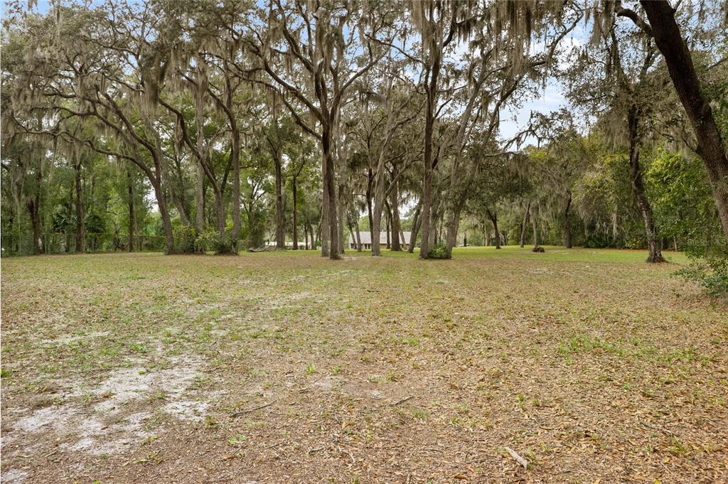 378 Glenwood Road DeLand, FL 32720 - Photo 29 of 38 a view of outdoor space with trees all around