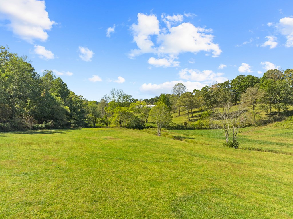 198 Tipton Springs Road Morganton, GA 30560 - Photo 29 of 72 Gallery Image 29