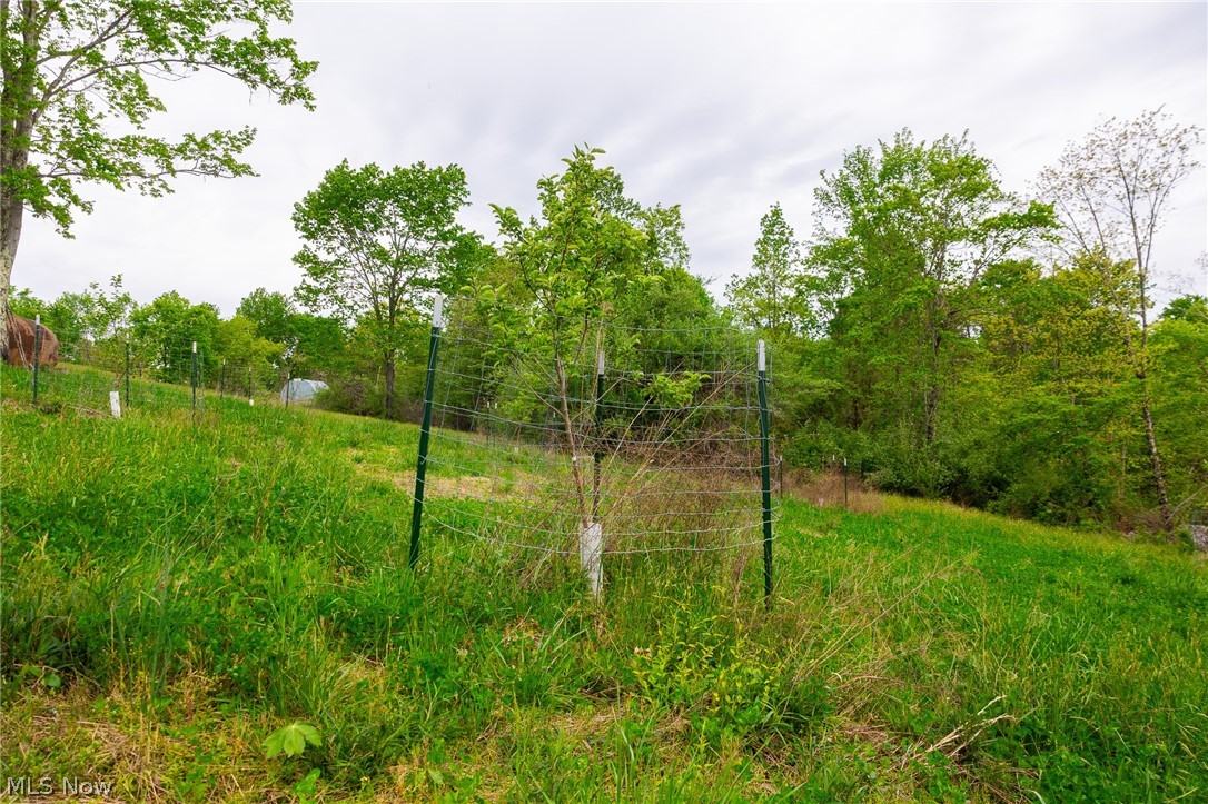 37795 Sheepskin Ridge Road Lower Salem, OH 45745 - Photo 17 of 31 Gallery Image 17