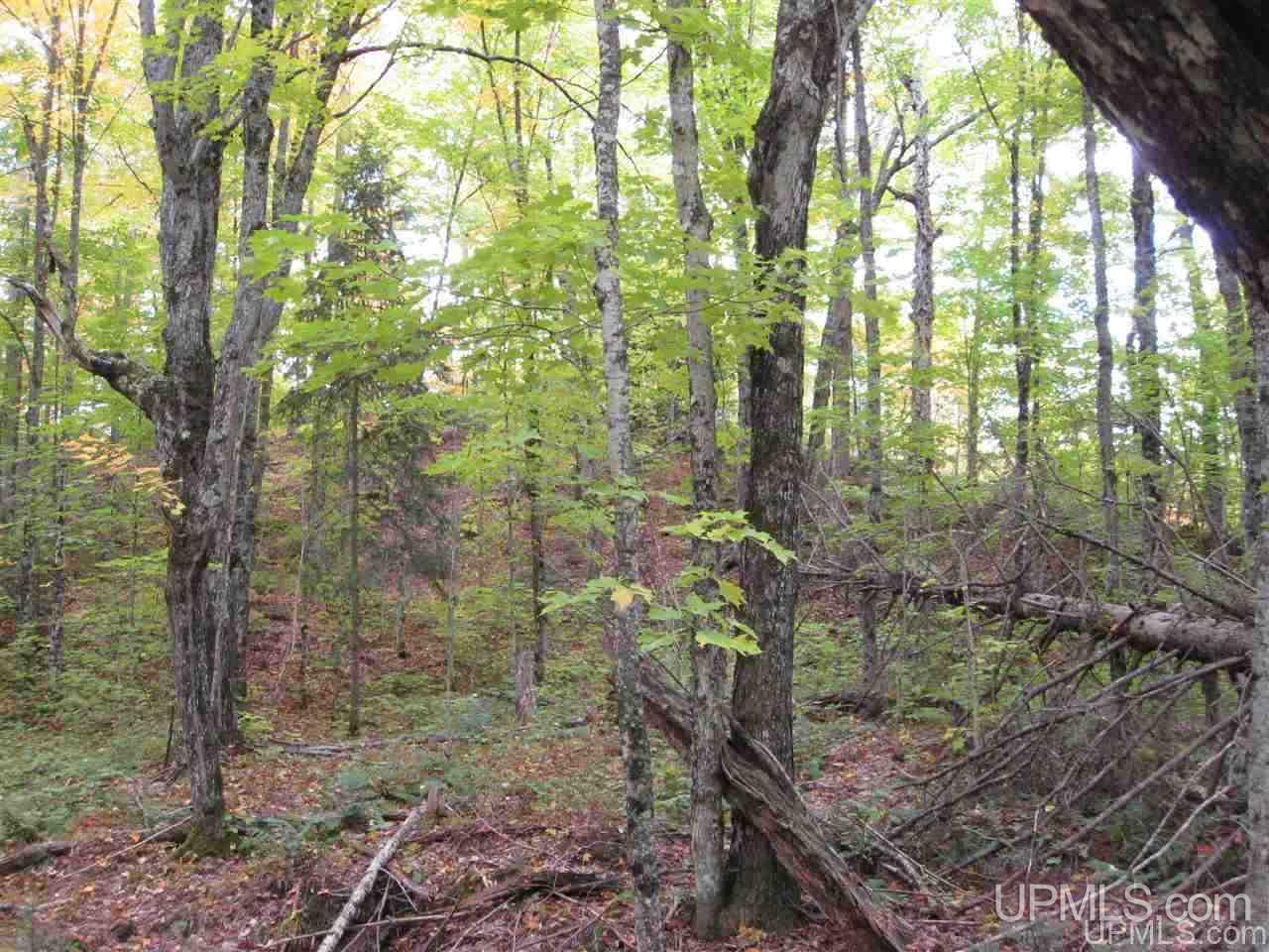 1 Copper Road Michigamme, MI 49861 - Photo 9 of 10 Gallery Image 9