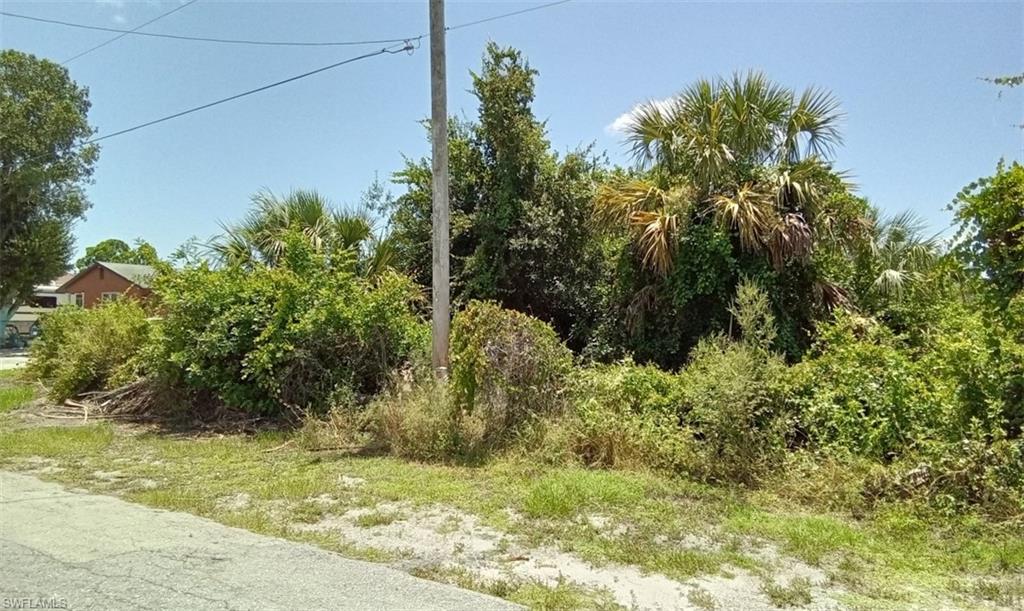 3123 26th Street Southwest Lehigh Acres, FL 33976 - Photo 2 of 5 a view of a yard