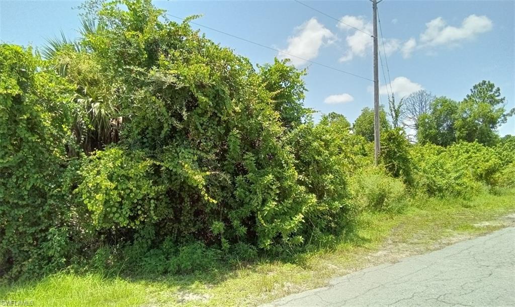 3123 26th Street Southwest Lehigh Acres, FL 33976 - Photo 3 of 5 a view of a garden