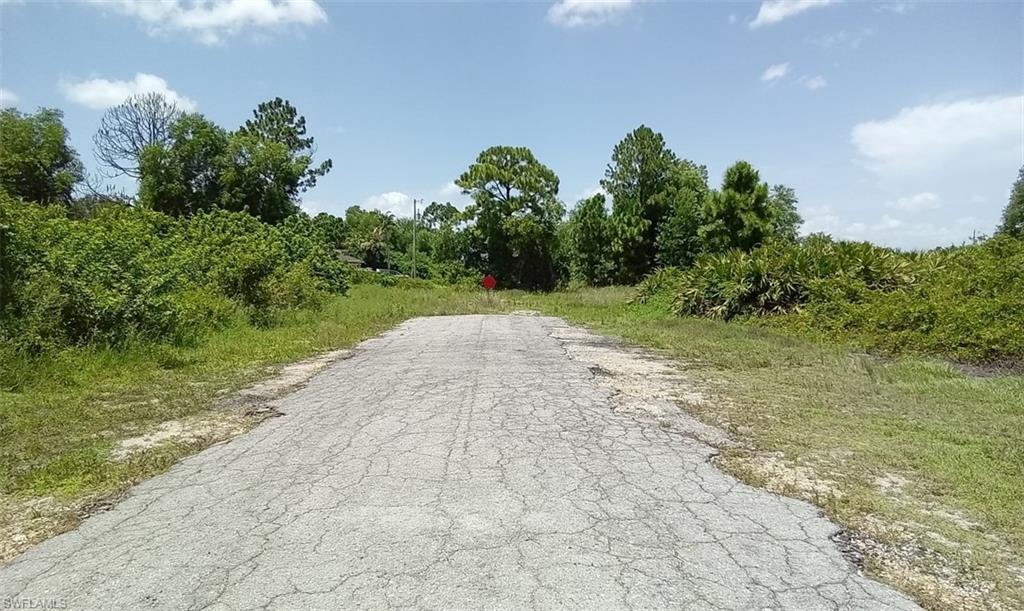 3123 26th Street Southwest Lehigh Acres, FL 33976 - Photo 5 of 5 a view of a yard with plants and a fountain