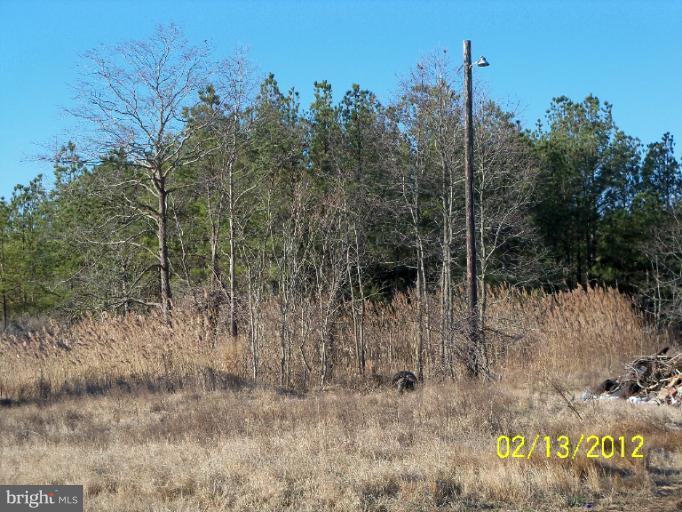 2467 Andrews Road Crapo, MD 21626 - Photo 1 of 1 View
