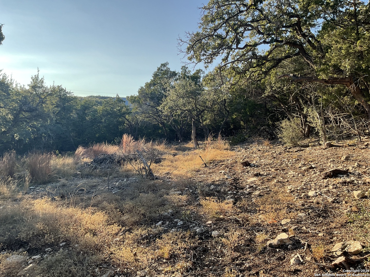 113 Champion Way Spring Branch, TX 78070 - Photo 13 of 13