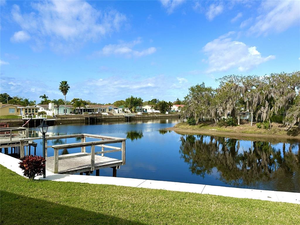 0 Berry Hill Road Holiday, FL 34690 - Photo 28 of 43
