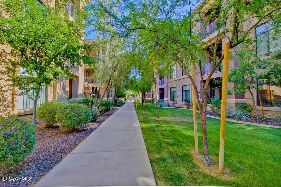 11640 North Tatum Boulevard, Unit 2061 Phoenix, AZ 85028 - Photo 32 of 46 20161210211306534506000000-o