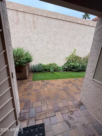 a view of a yard with plants