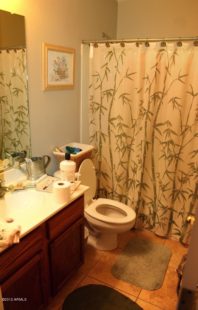 17436 West Boca Raton Road Surprise, AZ 85388 - Photo 7 of 10 master bath