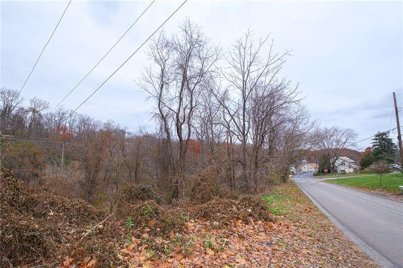 0 Springdale Drive Baldwin, PA 15236 - Photo 4 of 8 a view of a yard with trees on both side of it