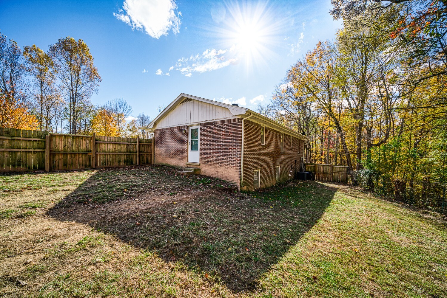 2757 Dale Ridge Road Dowelltown, TN 37059 - Photo 6 of 28 a view of a backyard with a large tree