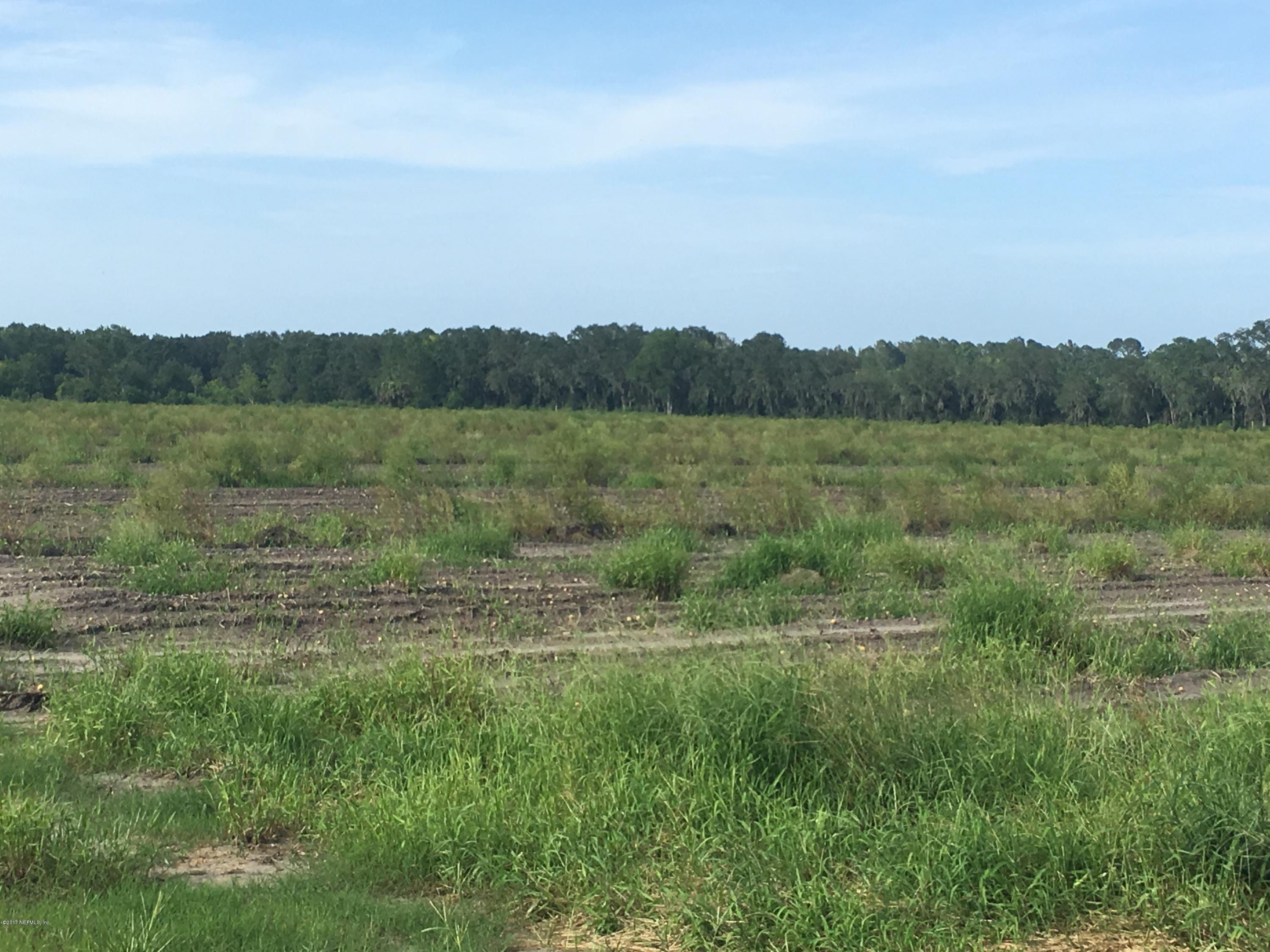 9750 Luther Beck Road Hastings, FL 32145 - Photo 7 of 10 IMG_5411