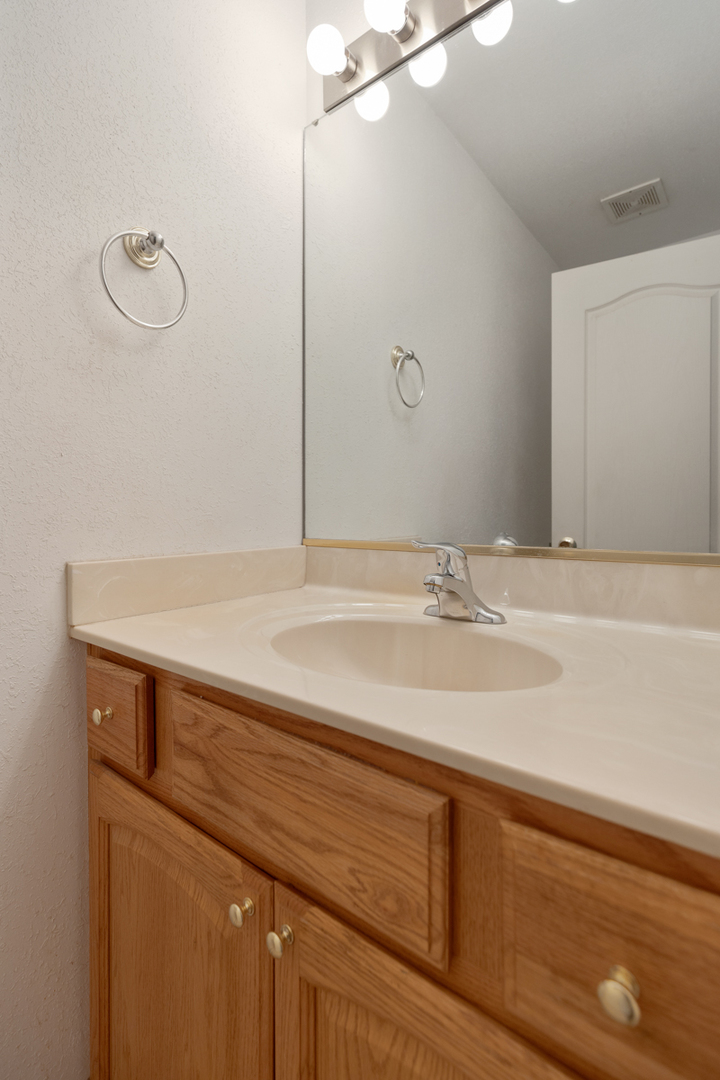 17717 Springbrook Circle Union, IL 60180 - Photo 11 of 33 a bathroom with a sink and a mirror