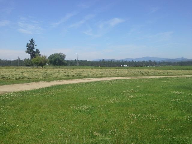7804 East Elk To Hwy Road Elk, WA 99009 - Photo 10 of 12