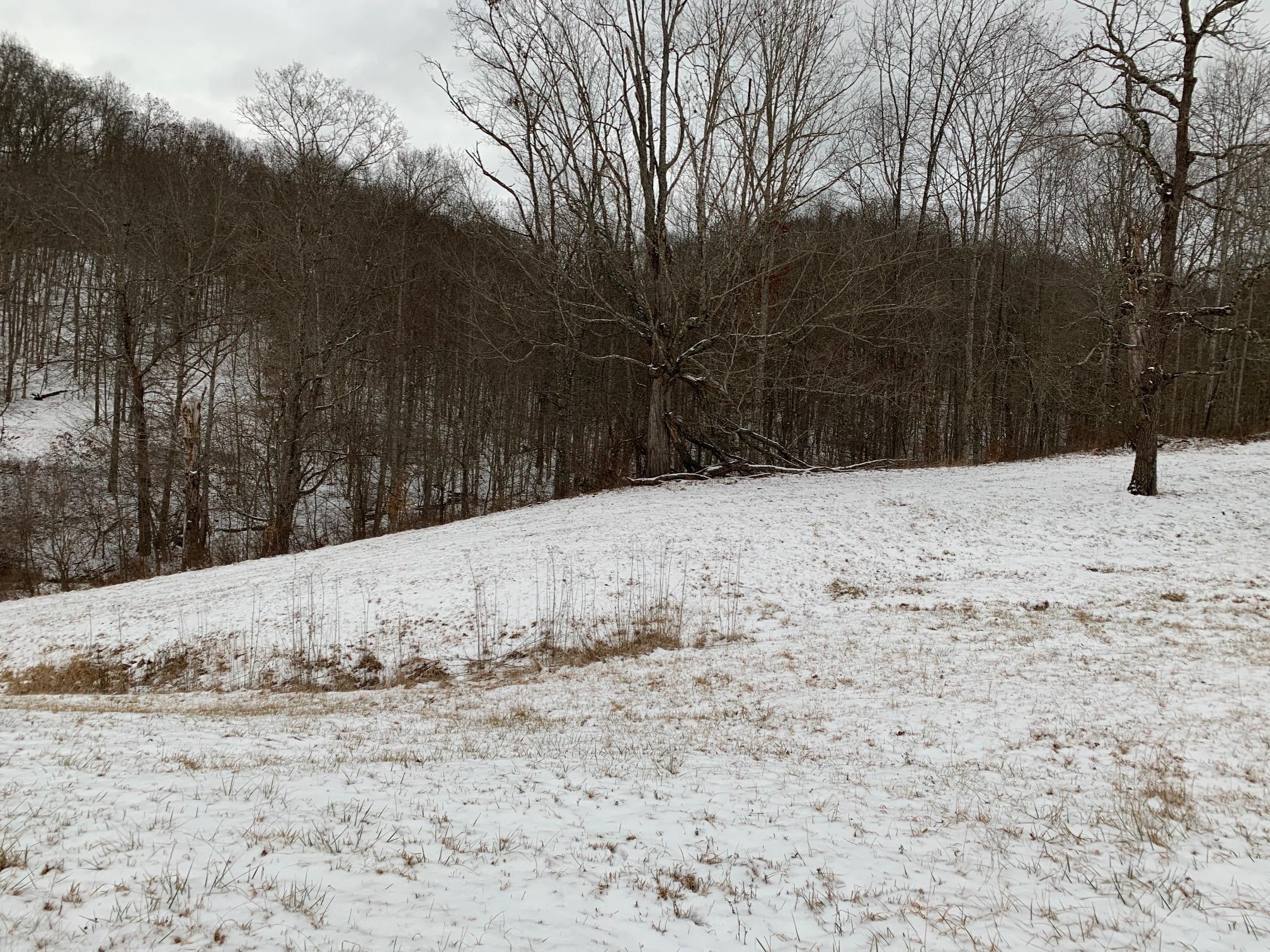 Ridge Road Williamsburg, WV 24991 - Photo 8 of 10 Gallery Image 8