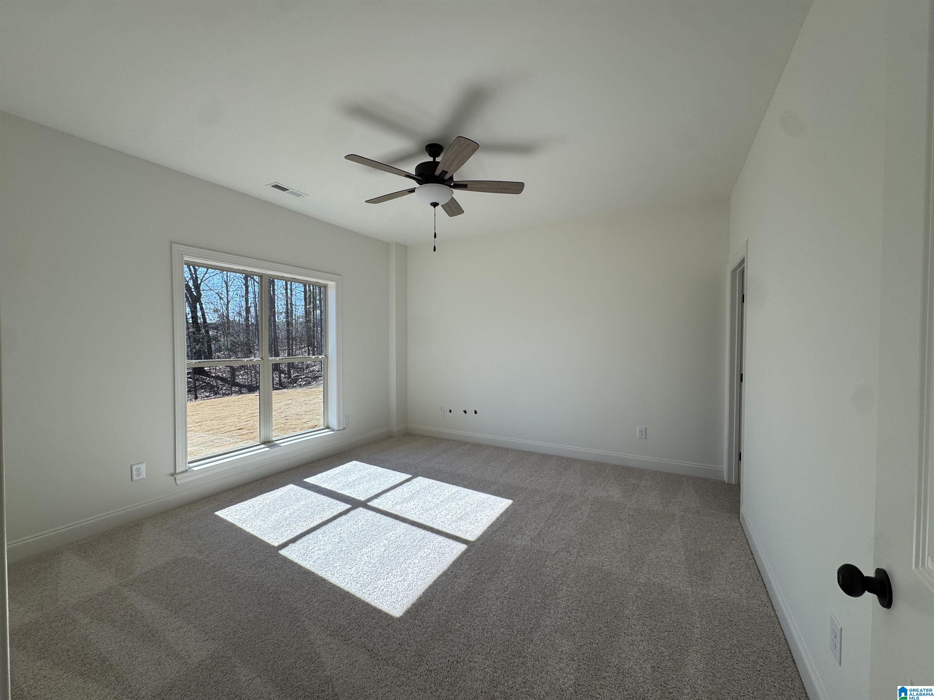 320 Emerald Lane Chelsea, AL 35043 - Photo 15 of 17