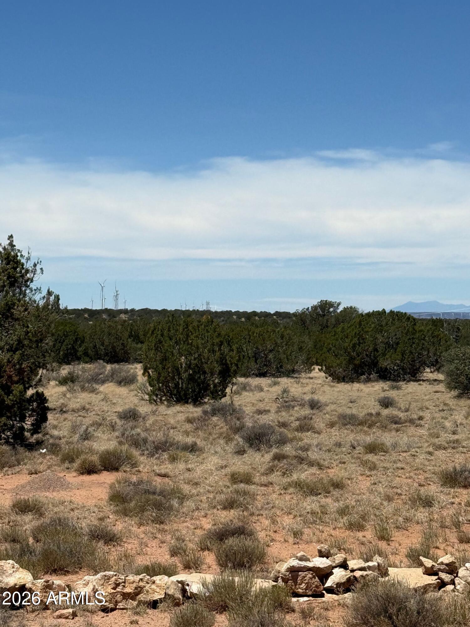 9 St T14n R16e:n2 Sw4 Nw4 -- Az 85928 Overgaard, AZ 85933 - Photo 1 of 4 land1