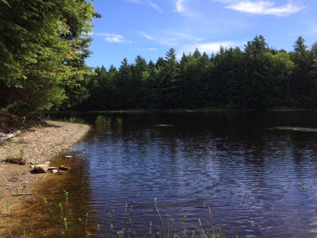 15 Union River Road Mariaville, ME 04605 - Photo 38 of 41 IMG_1343