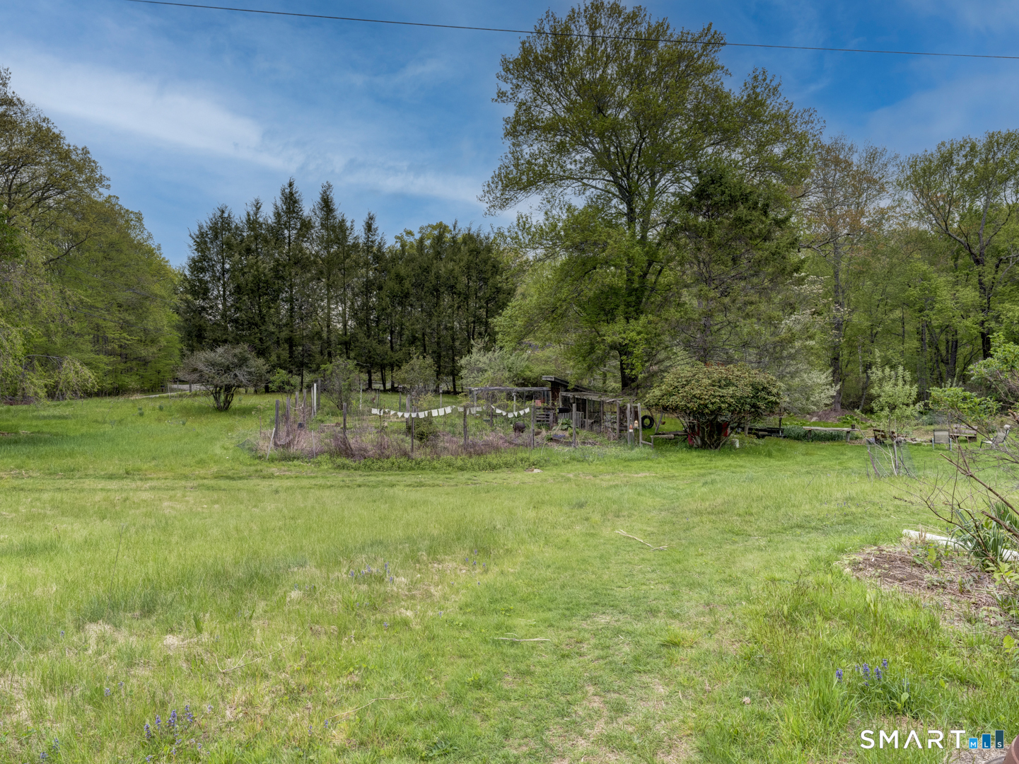 384 Woodland Road Mansfield, CT 06268 - Photo 10 of 37 side yard