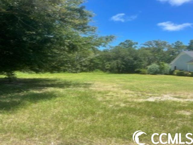 Lot 10 Hagar Brown Road Murrells Inlet, SC 29576 - Photo 1 of 2 Gallery Image 1