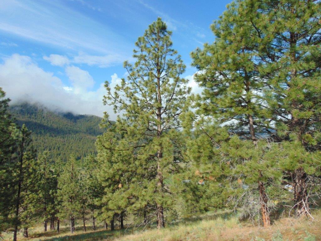 27235 Lazy Springs Road Clinton, MT 59825 - Photo 35 of 94 Gallery Image 35