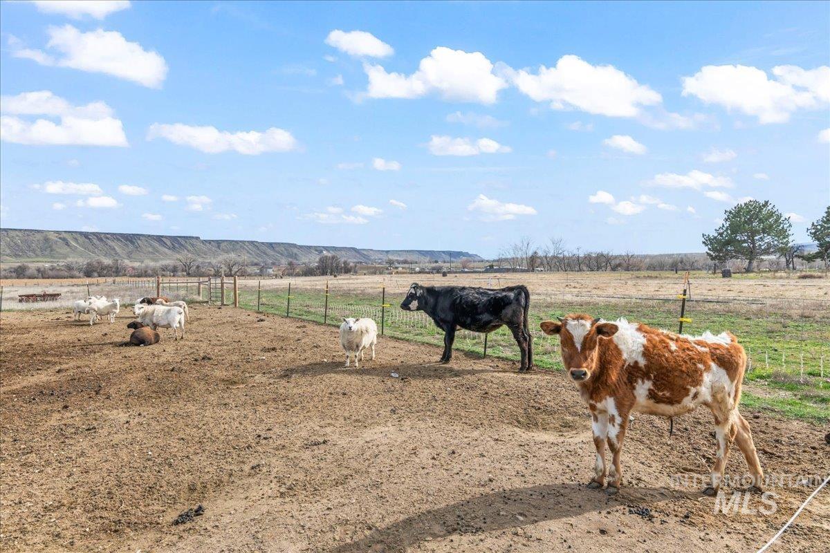 8843 Highway 78 Marsing, ID 83639 - Photo 38 of 48 Exterior view of mountains