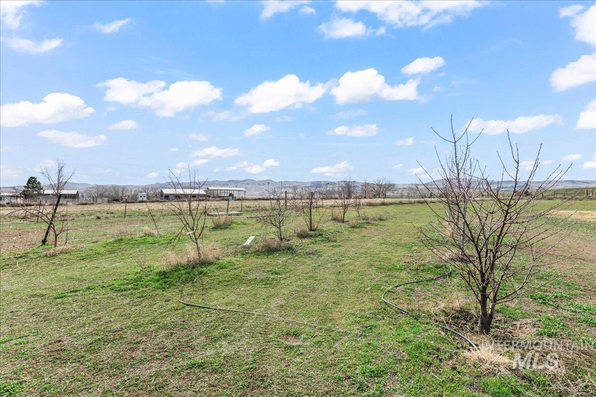 8843 Highway 78 Marsing, ID 83639 - Photo 39 of 48 View of green lawn featuring a view of rural / pastoral area and a mountain view