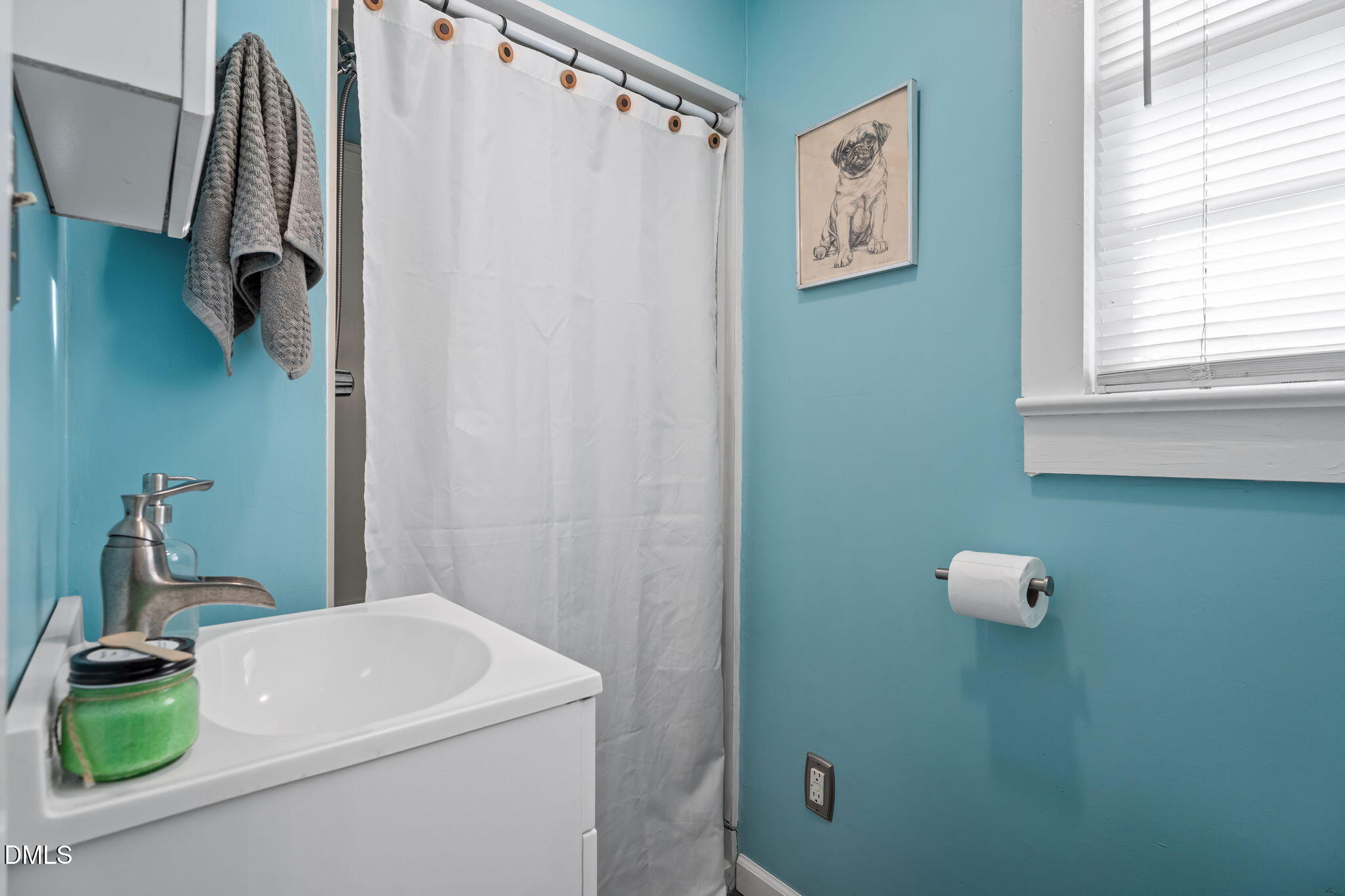 1140 Frazier Road Spring Hope, NC 27882 - Photo 47 of 59 47-web-or-mls-DSC02289